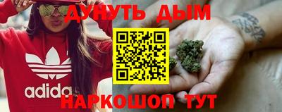 mdpv Новодвинск