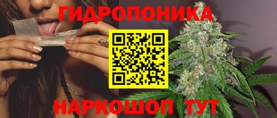 mdpv Новодвинск