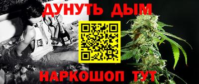 mdpv Новодвинск