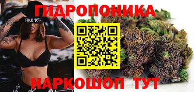 PSILOCYBIN Новокубанск